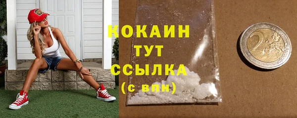 дживик Белокуриха