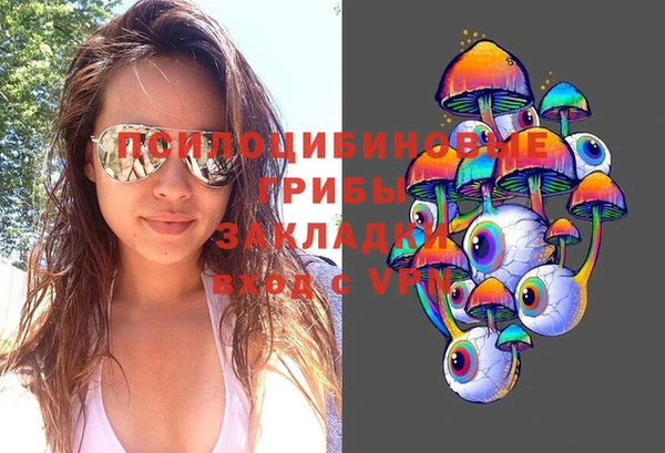 дживик Белокуриха