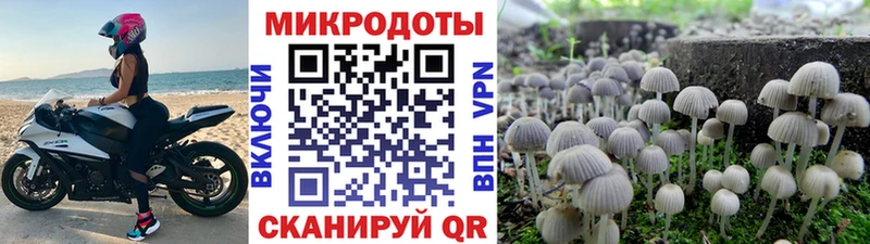 цены наркотик Верхний Уфалей Псилоцибиновые грибы GOLDEN TEACHER