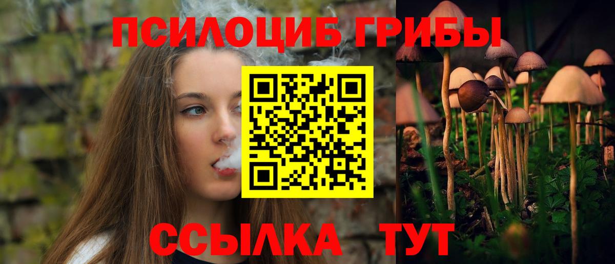 закладки  Вход с VPN  Верхний Уфалей  Псилоцибиновые грибы GOLDEN TEACHER 